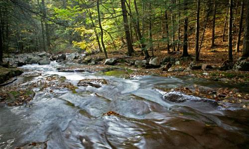 Peck Hollow Creek