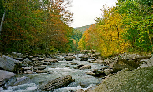 Stony Clove Creek