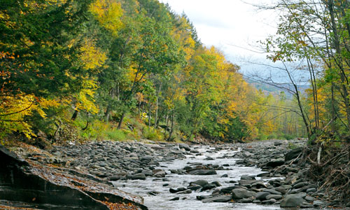 Woodland Valley Creek