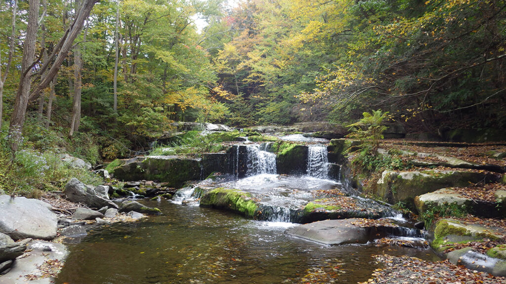 Forest stream and waterfall